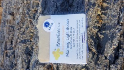 Morning Light Booch Shampoo Bar – Grapefruit