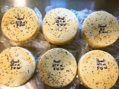 Caraway Havarti