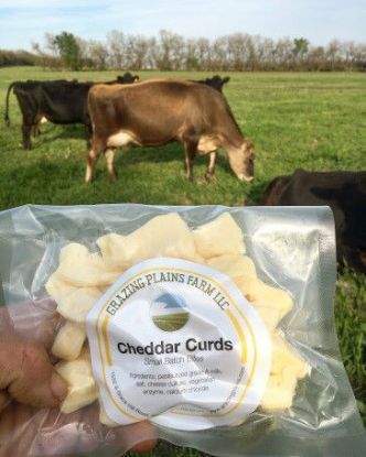Cheddar Curds