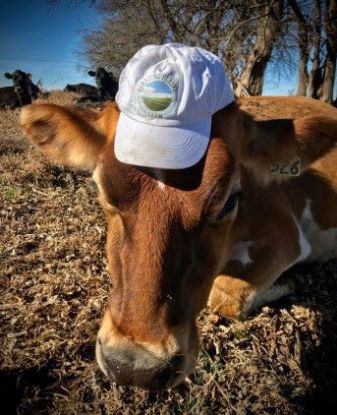 Grazing Plains Hat