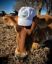 Grazing Plains Hat
